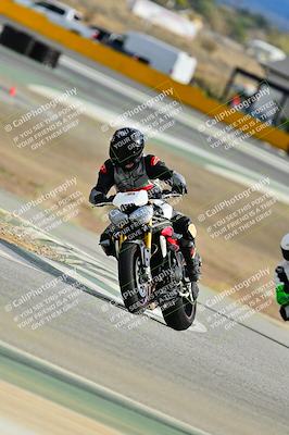 media/Nov-22-2025-2WTD (Sat) [[7eb050eb5f]]/C Group/Session 4 (Turn 9)/